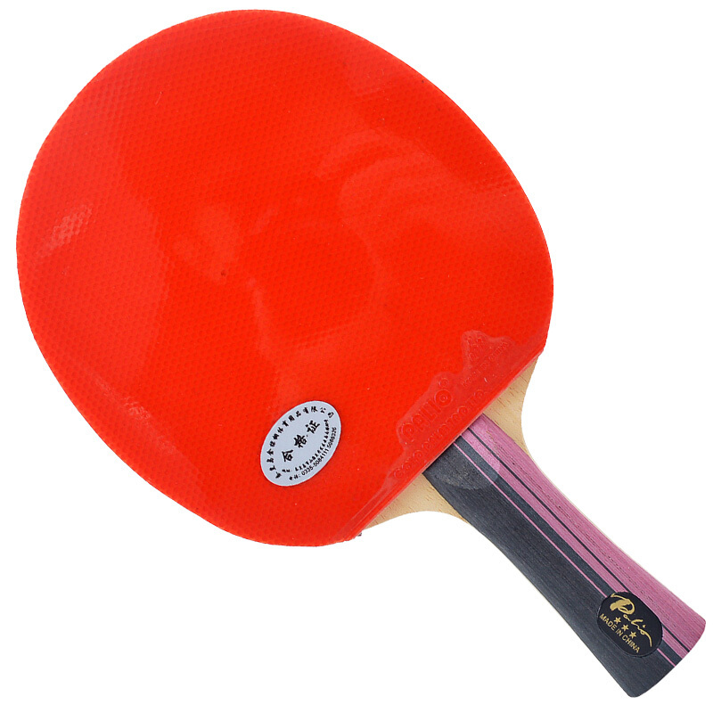 Raqueta de tenis de mesa de ca - Table Tennis History reseña y precio