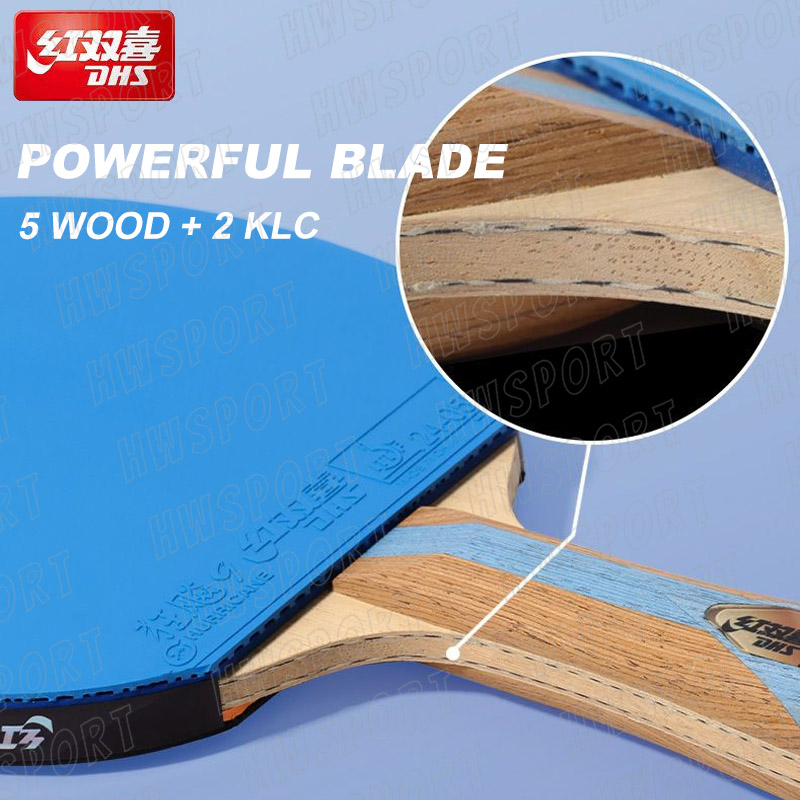 DHS-raqueta de tenis de mesa d - Table Tennis Joola reseña y precio