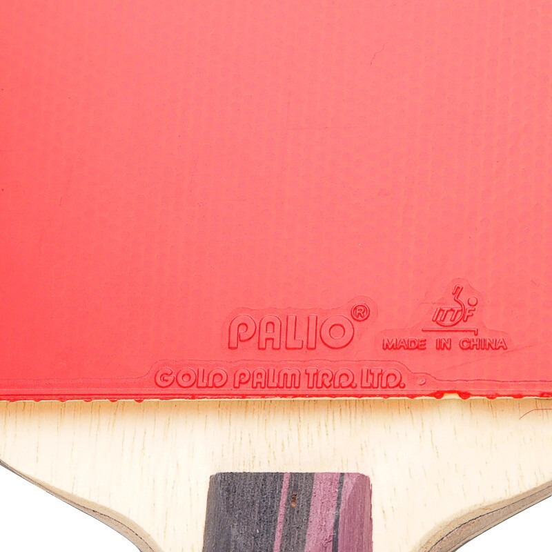 Raqueta de tenis de mesa de ca - Table Tennis History reseña y precio